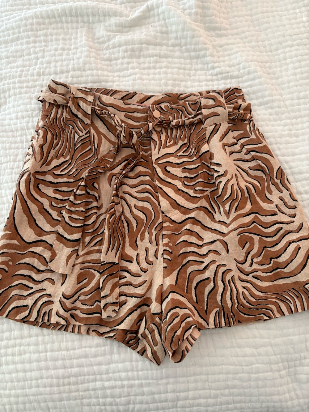 Zebra shorts